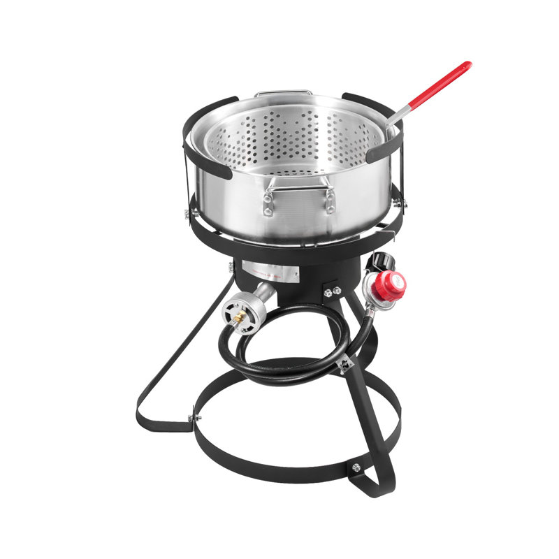 Ensemble de friteuse au propane 10 pte avec panier et thermomètre