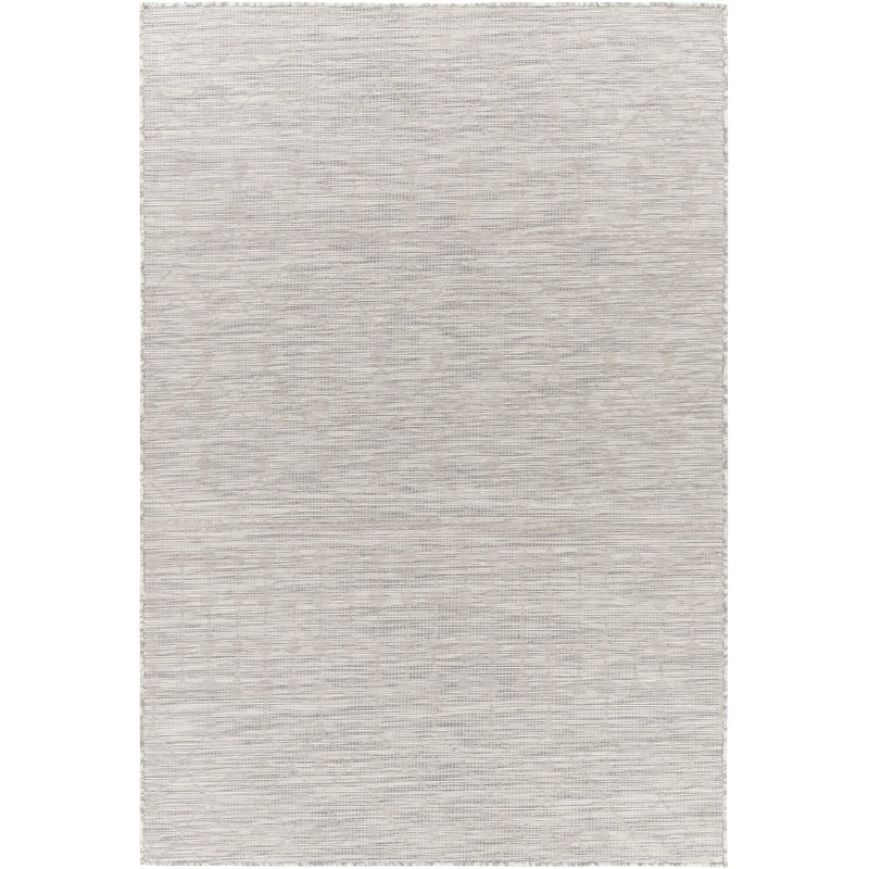 Tapis intérieur / extérieur gris tissé à la machine Isaha, Rectangle 5 pi 3 po x 7 pi
