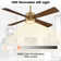 Camran 52'' Ceiling Fan with LED Lights