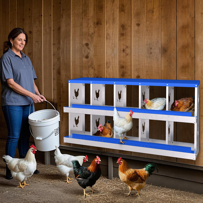Boîte de nidification pour poulets, boîte de ponte en métal en acier galvanisé à 10 compartiments avec œufs roulants, boîtes de nidification murales pour poulets, collection facile d'œufs, boîtes de perchoir à poule