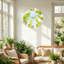 Horloge murale arbre en verre-922963304