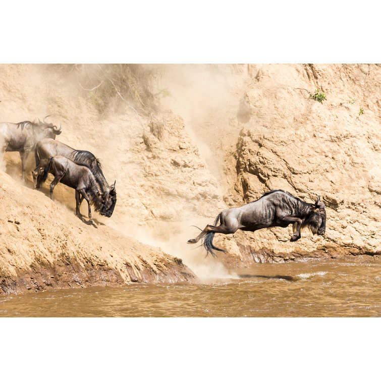 Great Wildebeest In Kenya - Wrapped Canvas Print
