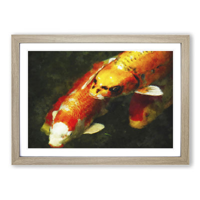 Koi Fish - Framed Print