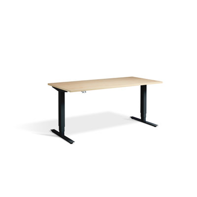 Trexler Metal Base Standing Desk