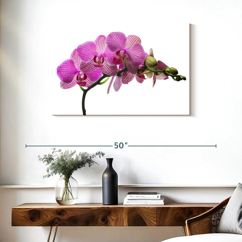 Fleurs d'orchidées fraîches Harnek