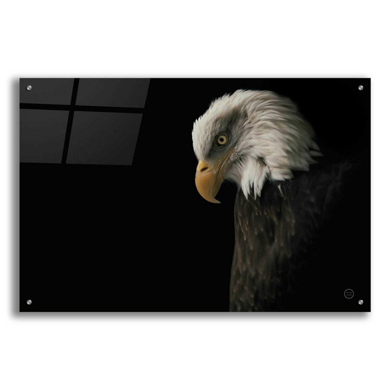 " Eagle Bow " by Nathan Larson