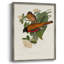 Impression encadrée ElegantTrogonsV III - Bois massif-1862987496