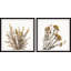 Tige de pissenlit II - Diptyque-803572984