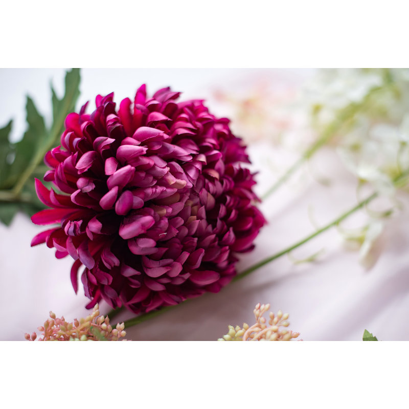 Tige chrysanthemum, Prune