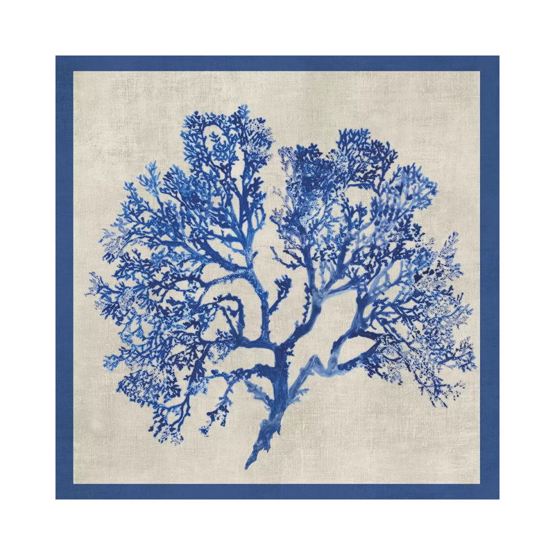 Cobalt Coral I by Aimee Wilson - Wrapped Canvas Print, 45.72 cm H x 45.72 cm W x 1.91 cm D
