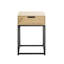 Walkowiak Side Table with Storage