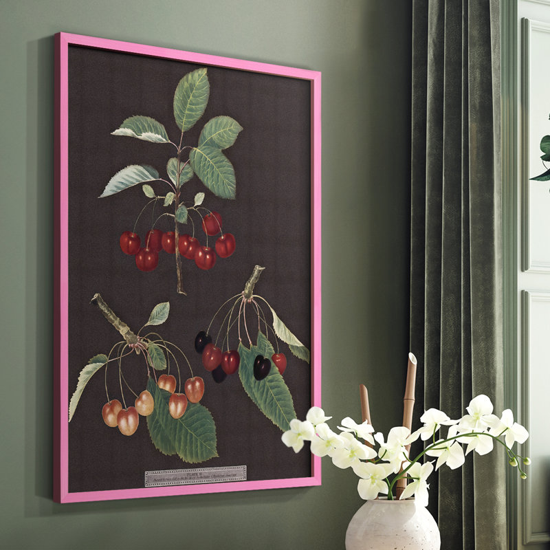 Brookshaw Cherries Framed Print - Solid Wood, 28" H x 22" W, Black