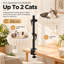 Lit-hamac pour bureau pour chat, 2 lits moelleux amovibles avec boules de suspension, pince sur perchoir pour bureau et rebord de fenêtre, réglable en hauteur à 360 °, peut supporter jusqu'à 24 lb pour les chats d'intérieur