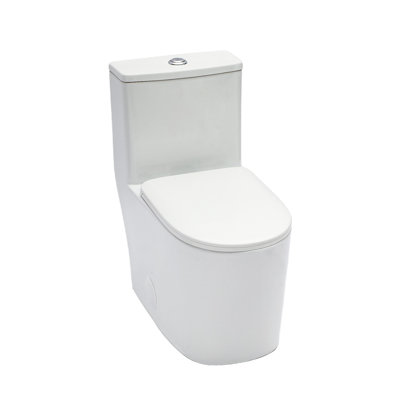 Toilette monobloc en céramique, adaptée aux salles de bain, 1,1 / 1,6 gallon par chasse, double chasse, siège de toilette à fermeture lente, double chasse puissante, blanc
