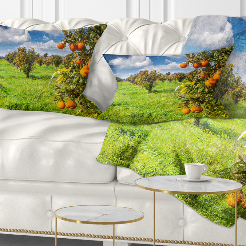 Coussin Schafer