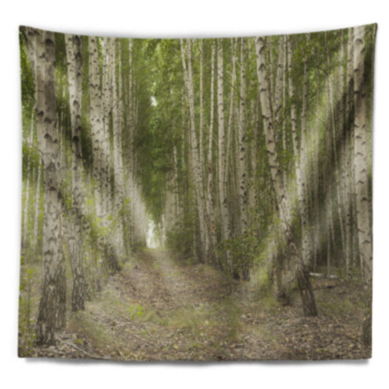 Tapisserie forêt dense de bouleaux en été, H 50 po x l 60 po