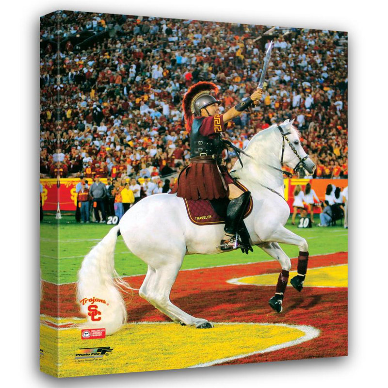 Traveller, la mascotte des chevaux de Troie de l'USC, H 18 po x l 14 po