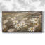 Botanical Series-CL XXV- Toile tendue avec châssis tendue, prête à être accrochée-1811373304-1811373309