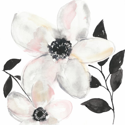 Black And Blush Anemone II by Jennifer Goldberger - Wrapped Canvas Painting