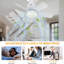 Silvya 45cm 5 - Blade E27 Socket Ceiling Fan with LED Light and Remote-1675319999