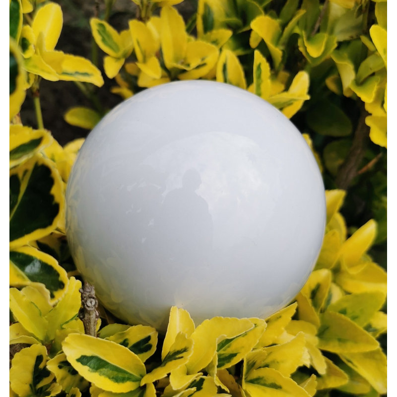 Chaley Stainless Steel Gazing Ball, 20cm H x 20cm W x 20cm D, White
