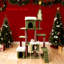 Maison de chat Holiday Haven