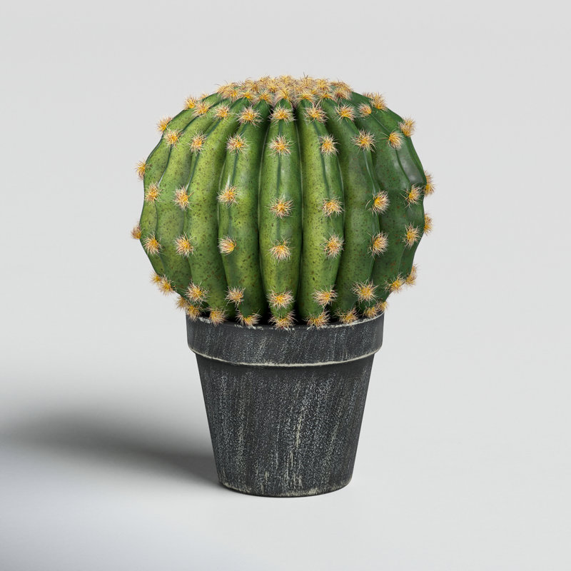 Cactus artificiel en pot 4,75 po