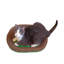 Grattoir en carton PetPro B Accessoire Engebretsen