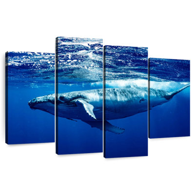 Baleine à bosse sous la surface