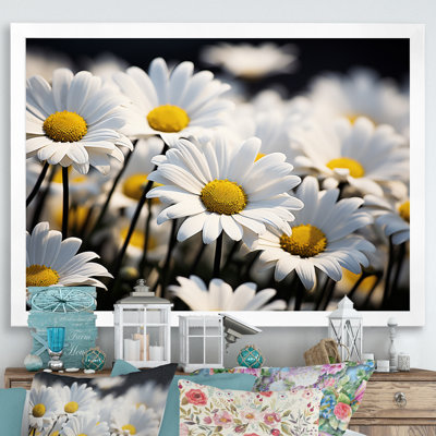 " Daisies Field Sunrise I "