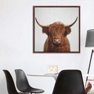 Highland Cow by Gal Design - Print on Canvas