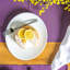 Prometeo Glass Dessert Plates - 24 x 19.5cm