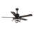 Eustolio 52'' DIY Shade Reversible Caged Ceiling Fan with Dimmable LED Light and Remote-1423393915