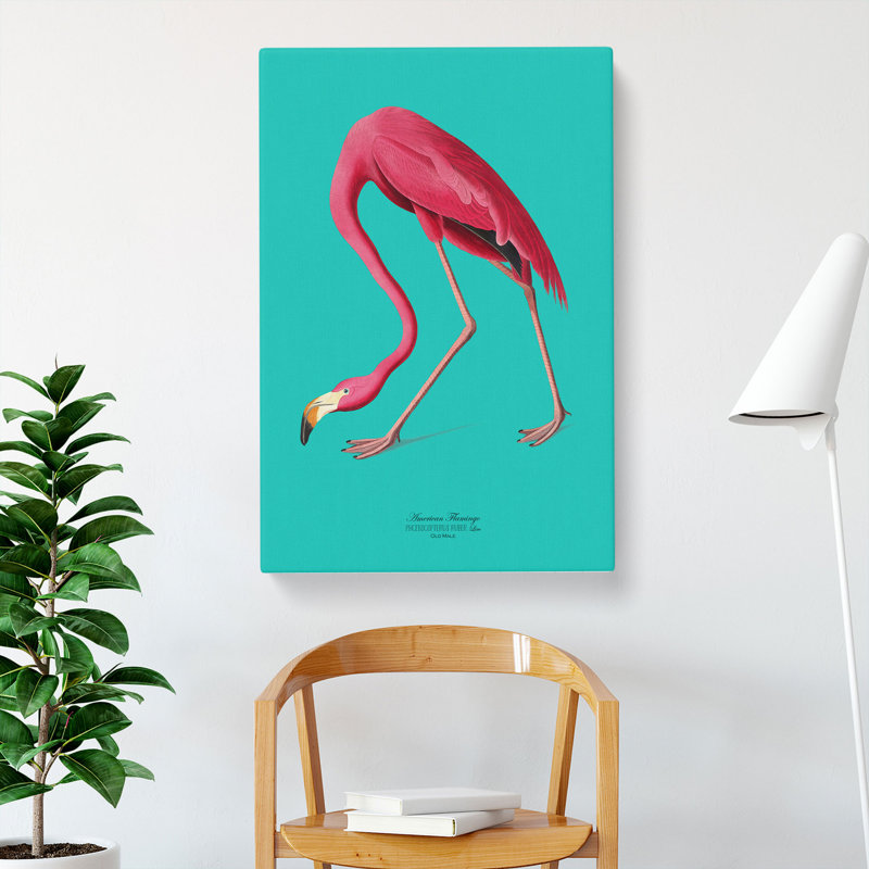 Flamingo in Teal by John Audubon - Wrapped Canvas, 76cm H x 50cm W x 3cm D