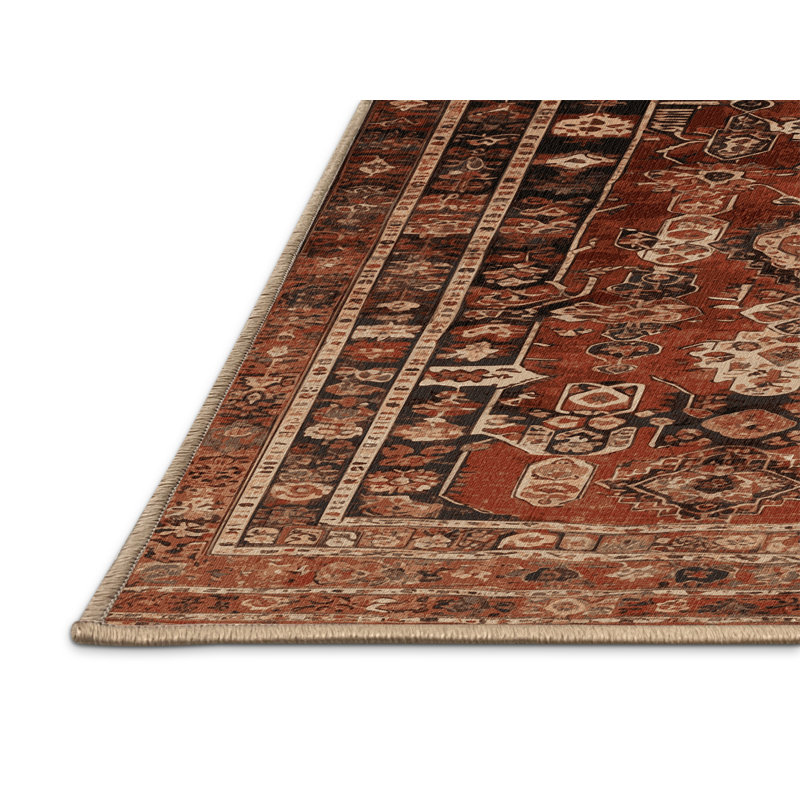 Tapis brun turc lavable à la machine, Rond 6 pi