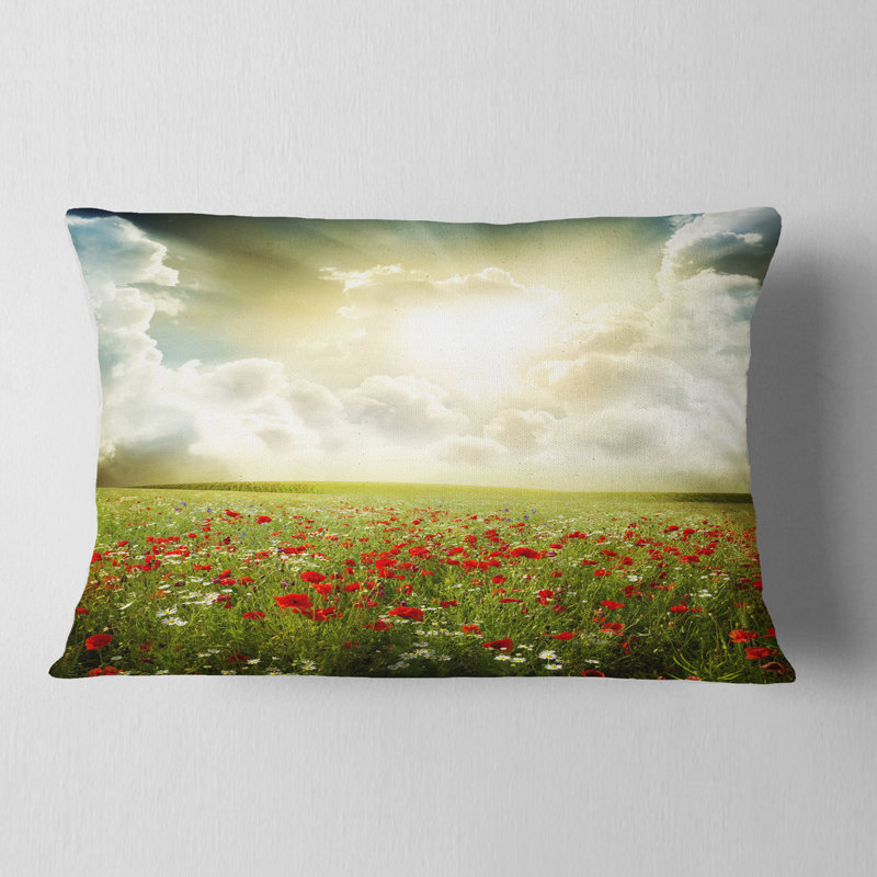 Coussin lombaire Schafer