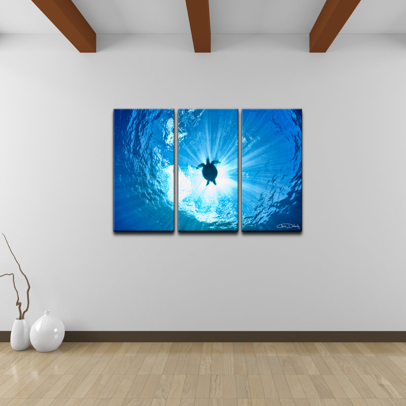 " Sea Turtle " 3 Piece Art Color Photography Set