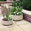 Ribbed Reinforced Stone Bowl Planter, Frostproof Lightweight Outdoor Plant Pot, Bonsai Pot, Garden Planter with Drainage Holes, Shallow Planter-39265647-39265644