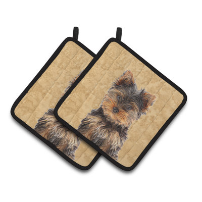 East Urban Home Polyester Potholder