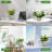 Self Watering Plant Pots Indoor-1507783042