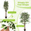 Faux arbre artificiel primrue avec tronc de bois naturel 1008 feuilles