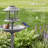 Bird Bath-1353438703