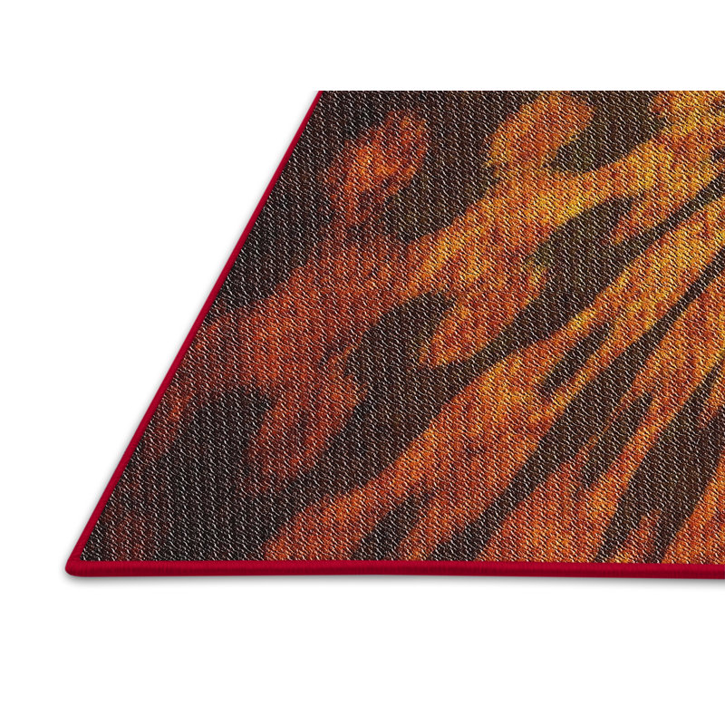 Indoor Rug, Rectangle 4' x 6'