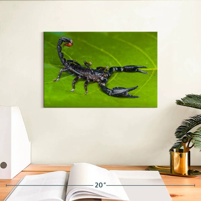 Crowle Forest Scorpion, 8" H x 12" W