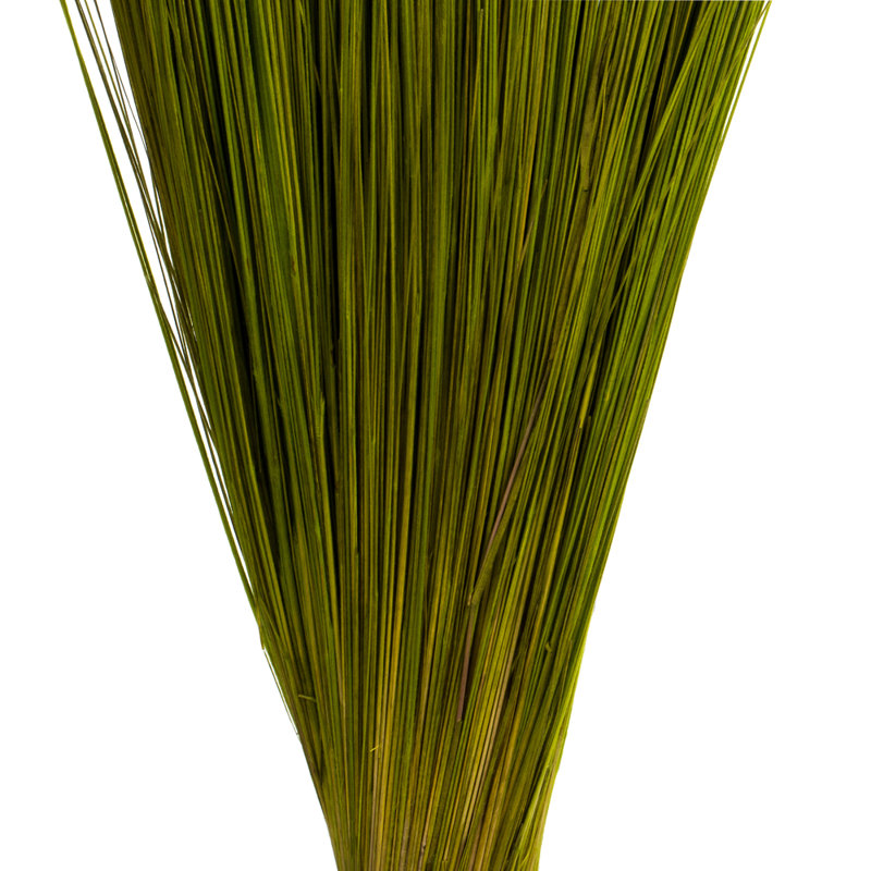 Faux Bright Grass Grass Plant Preserved