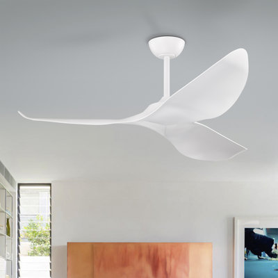 Ventilateur de plafond 3 pales avec télécommande Duncan