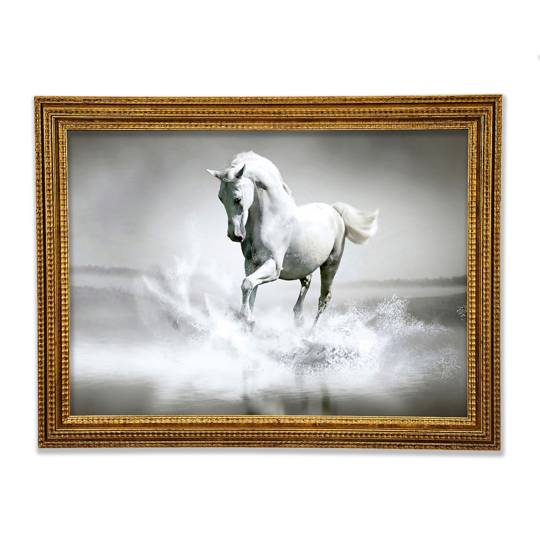 White Water Horse - Druck