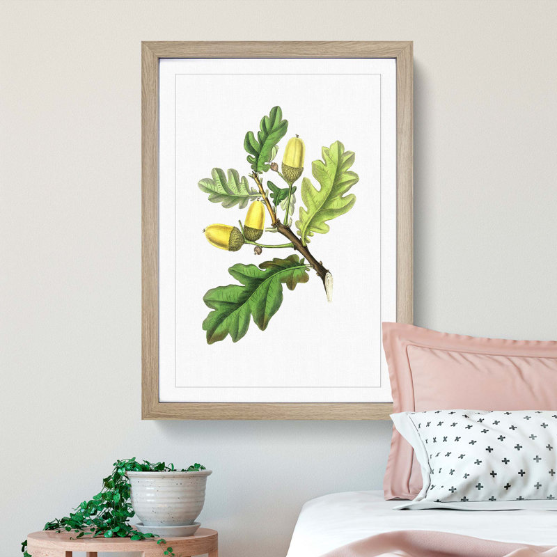 English Oak Tree Illustration - Picture Frame Painting Print, 65cm H x 48cm W x 2cm D, Oak Framed