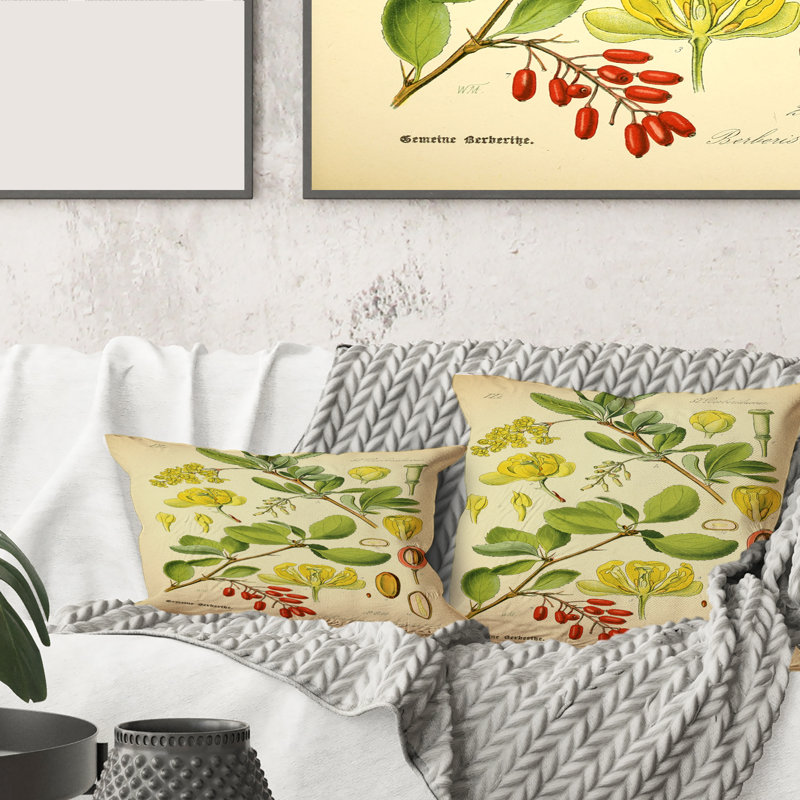 Vintage Plant Life II - coussin traditionnel imprimé