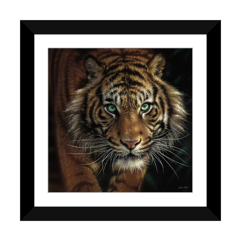 Œil du tigre, carré, H 16 po x l 16 po x P 1 po, Papier d'art encadré noir, Blanc
